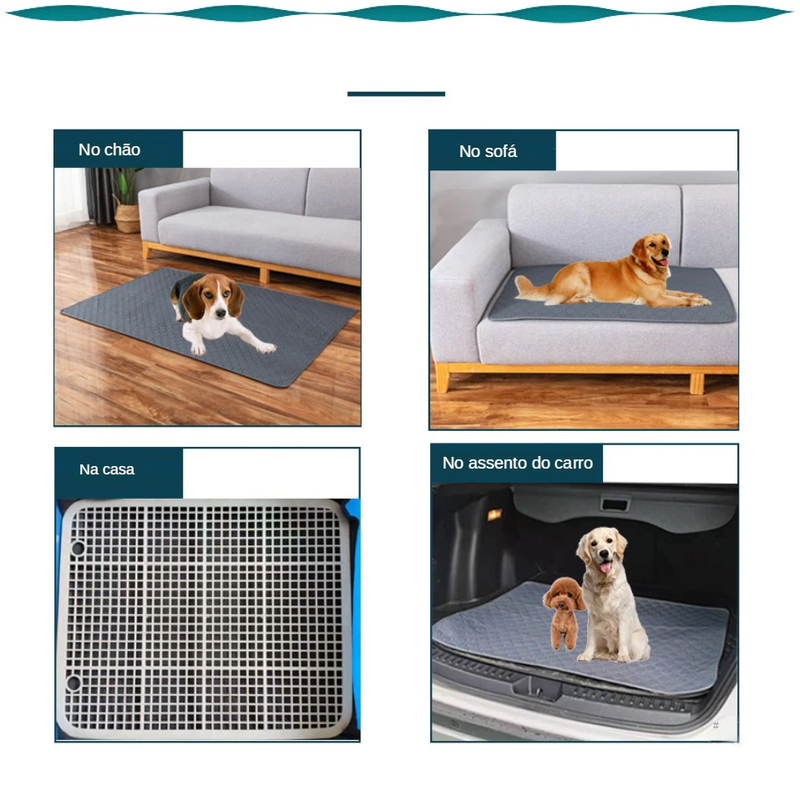Fralda Pet Absorvente Reutilizável Eco