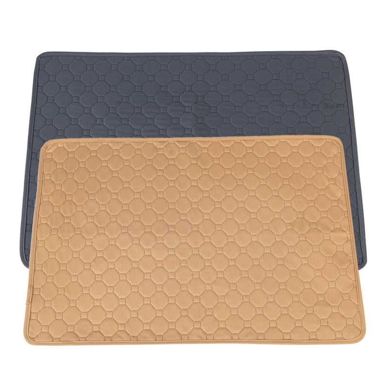 Fralda Pet Absorvente Reutilizável Eco