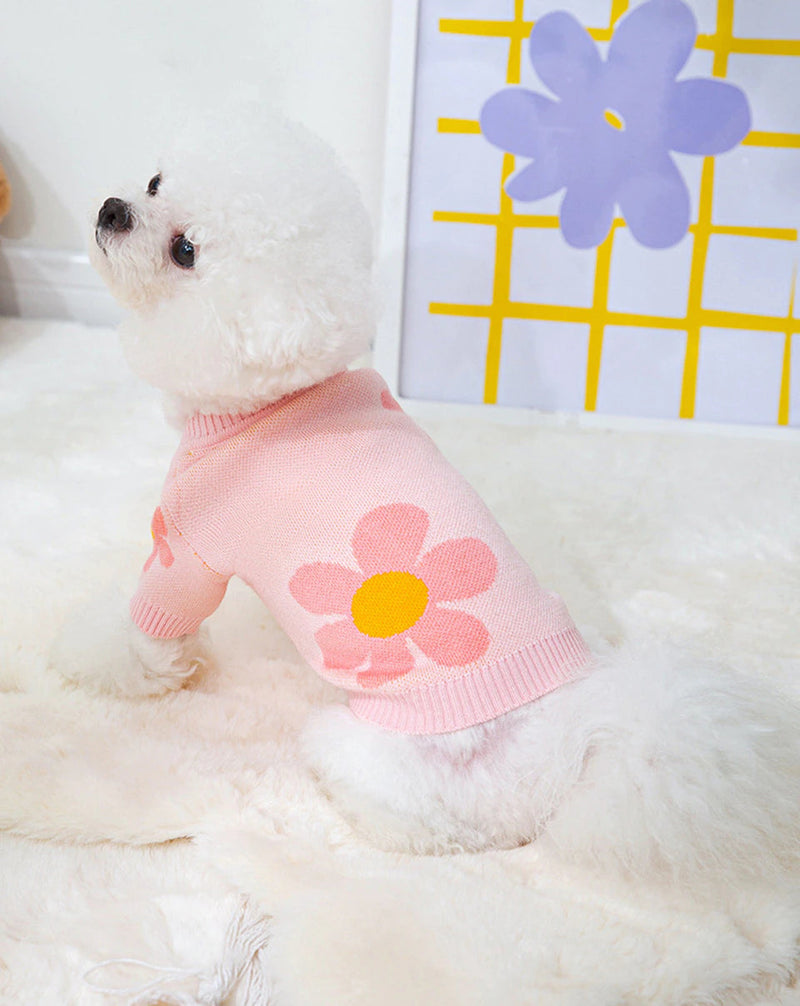 Cardigan Pet Lumeni