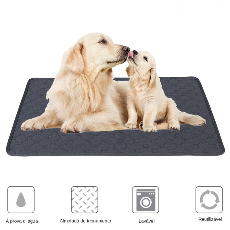 Fralda Pet Absorvente Reutilizável Eco