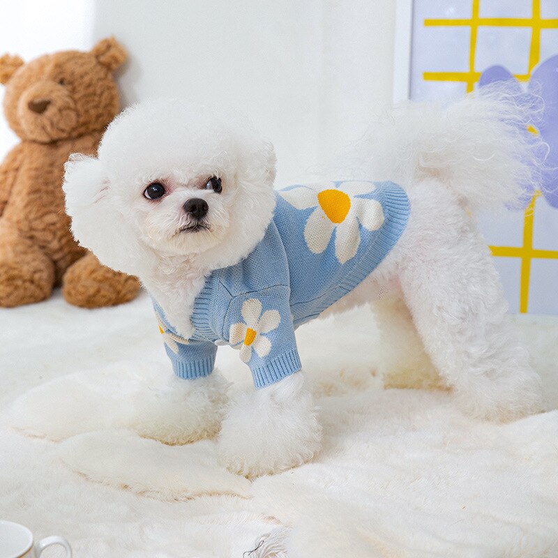 Cardigan Pet Lumeni