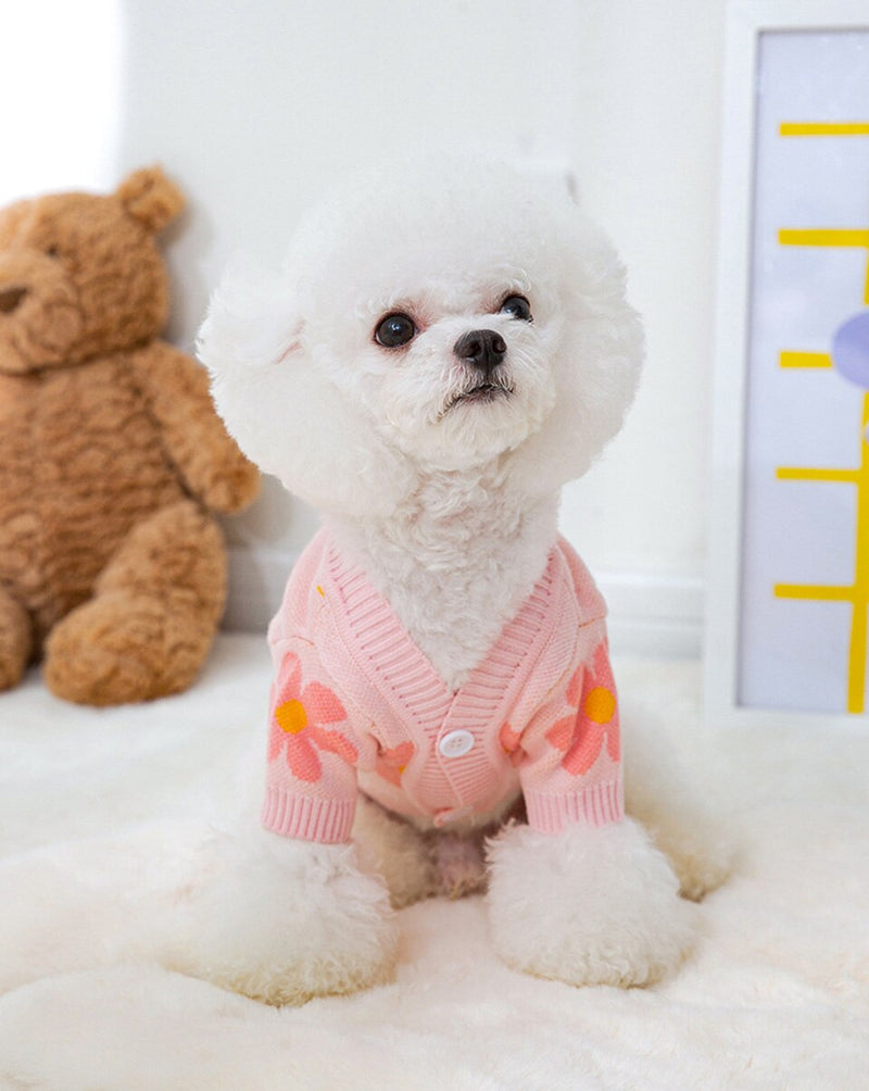 Cardigan Pet Lumeni