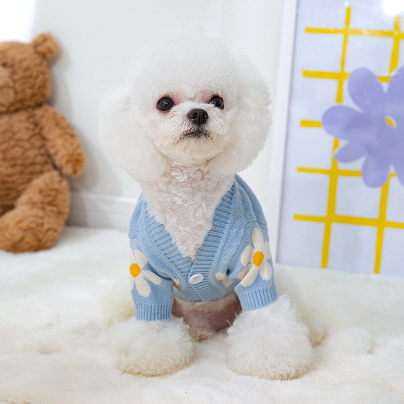 Cardigan Pet Lumeni
